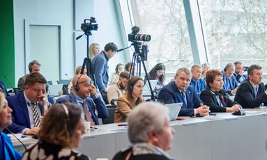 «Своїми історіями ми підштовхуємо Європу не забувати, що ми існуємо». Маріуполець Ілля Матвієнко дав свідчення в Раді Європи